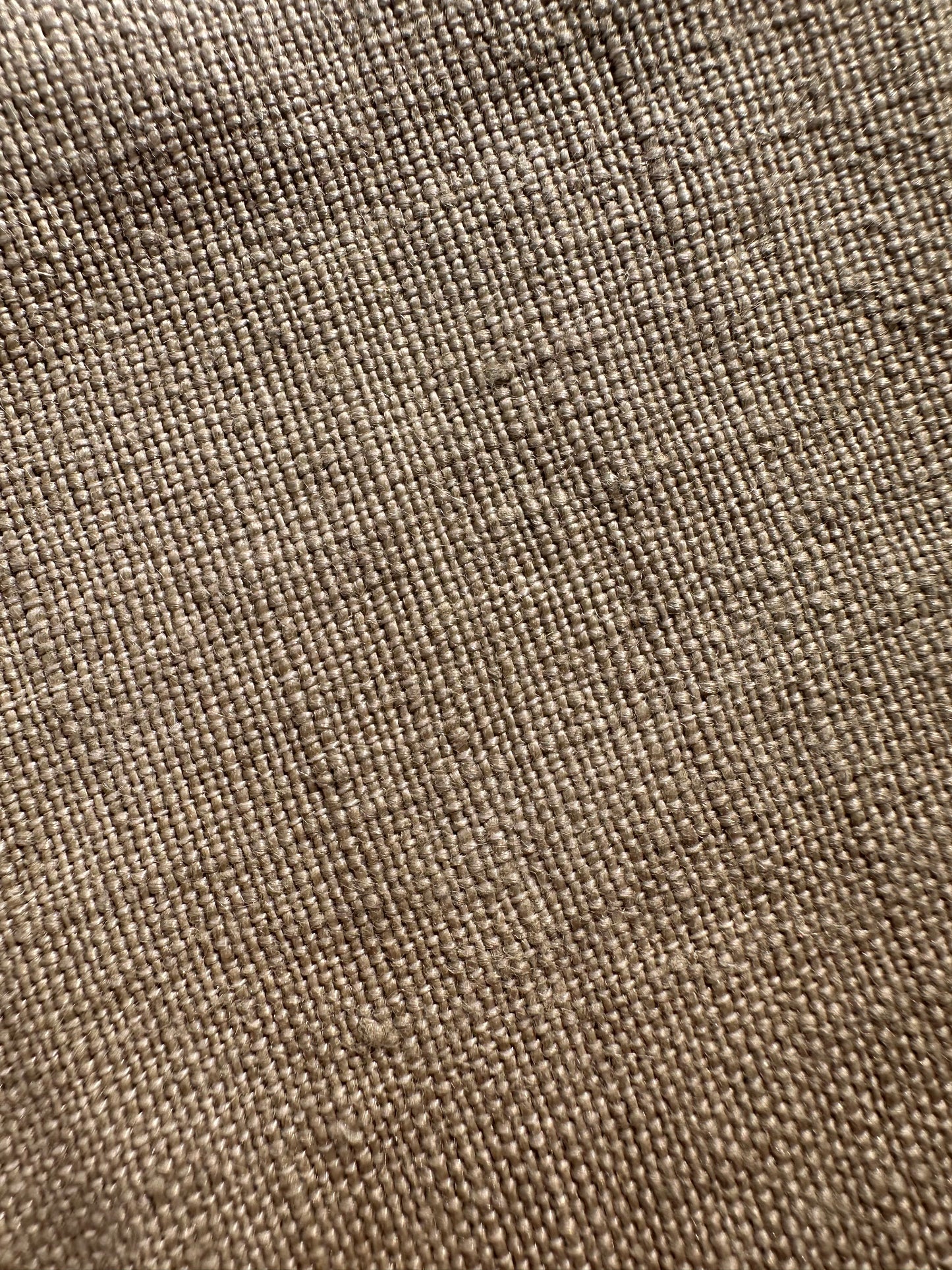 Lichen Fabric Sample