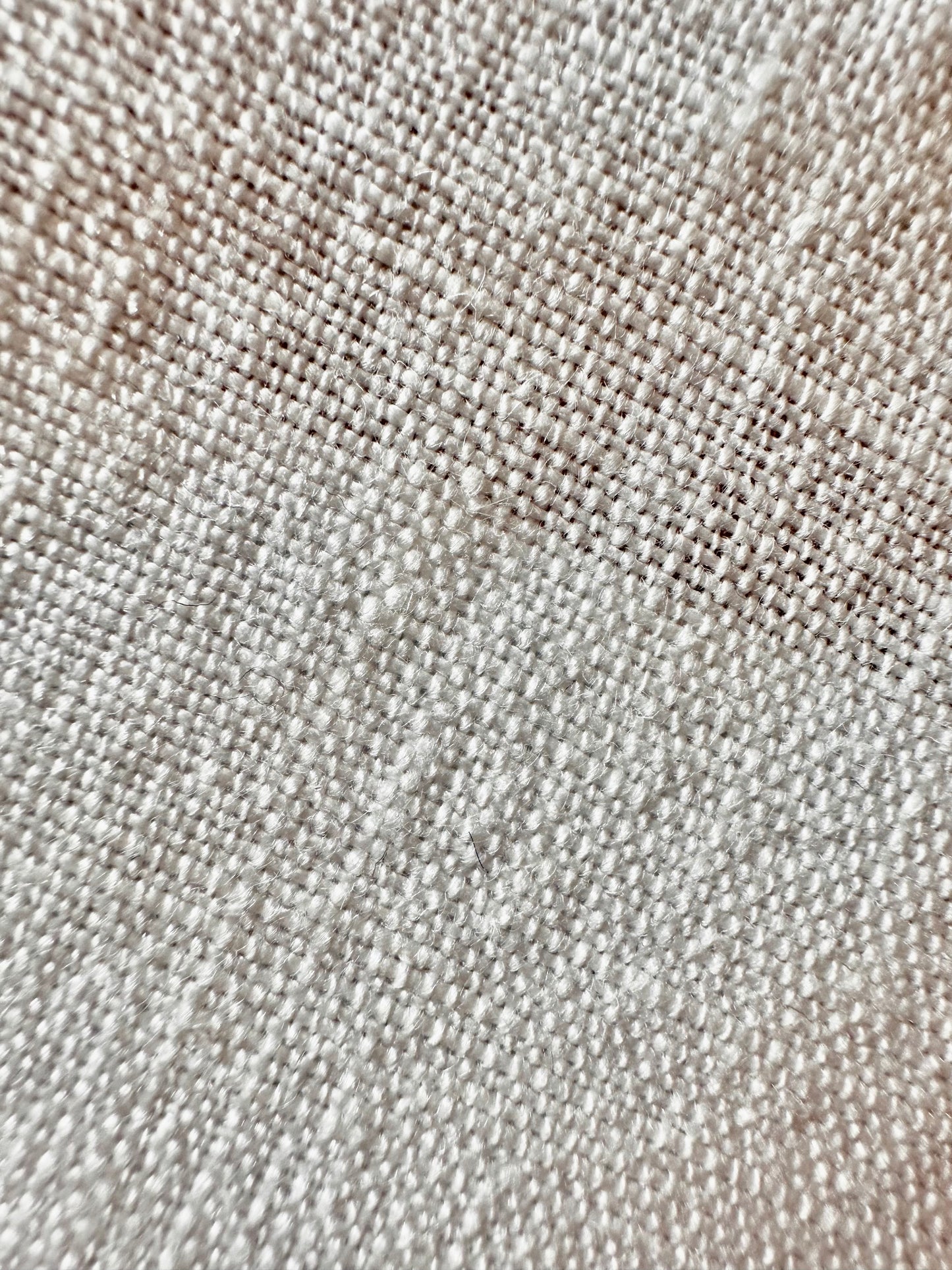 Cow Parsley Fabric Sample (Copy)