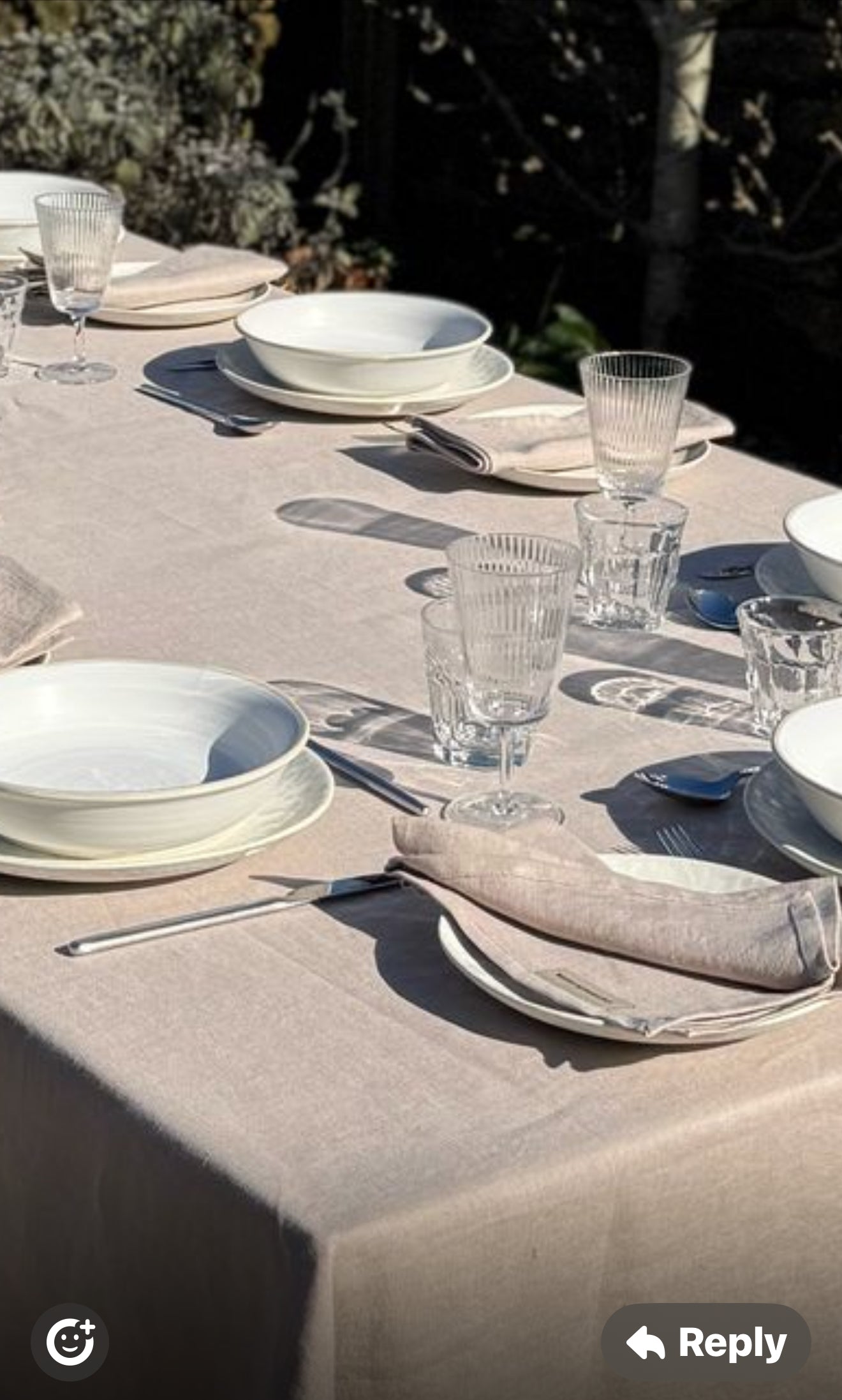 Field Mushroom Napkin Set
