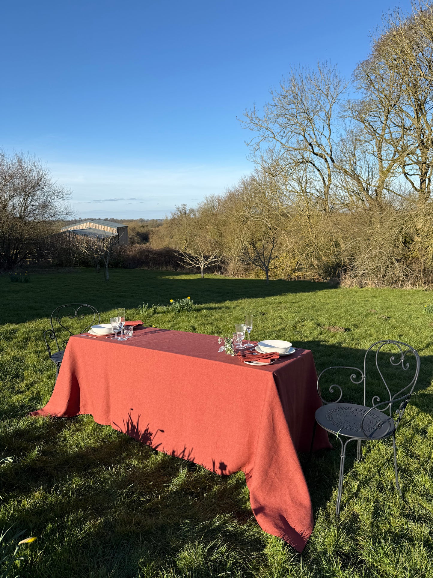 Chestnut Mare Tablecloth